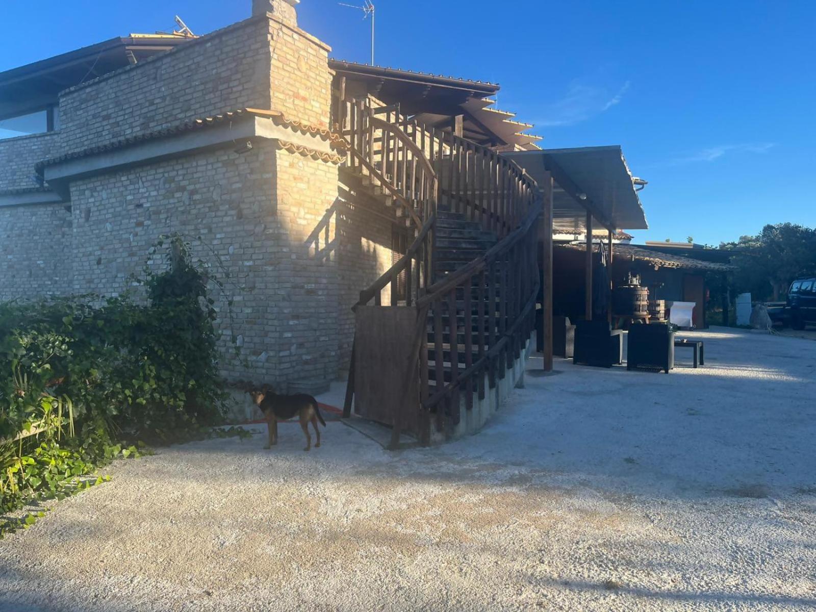 Agriturismo Il Tratturo B&B Васто Екстер'єр фото